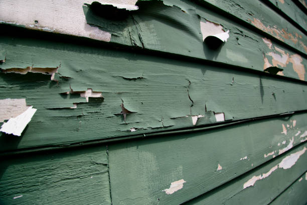 Best Property Management Cleanouts  in Carleton, MI